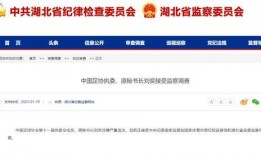 广东官方爆料新闻网最新消息,最新热点事件深度解析